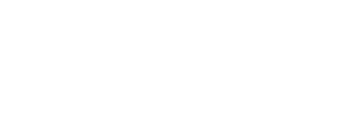 les déchargeurs logo fond transparent.png